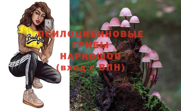 синтетический гашиш Балахна